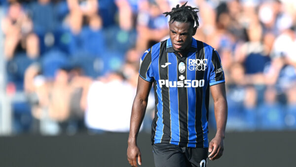Zapata 1