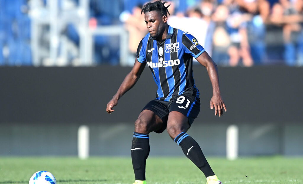 Zapata 2