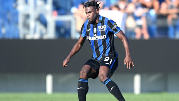 Zapata 2