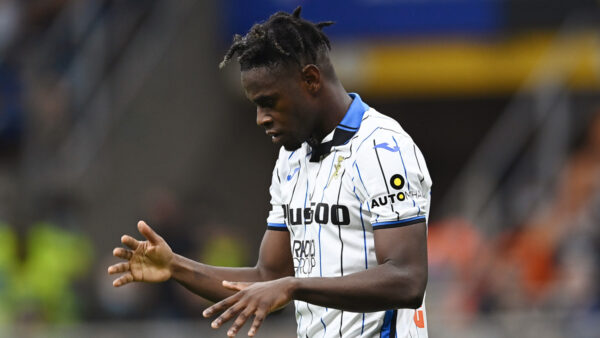 Zapata 2