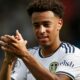 tyler adams leeds