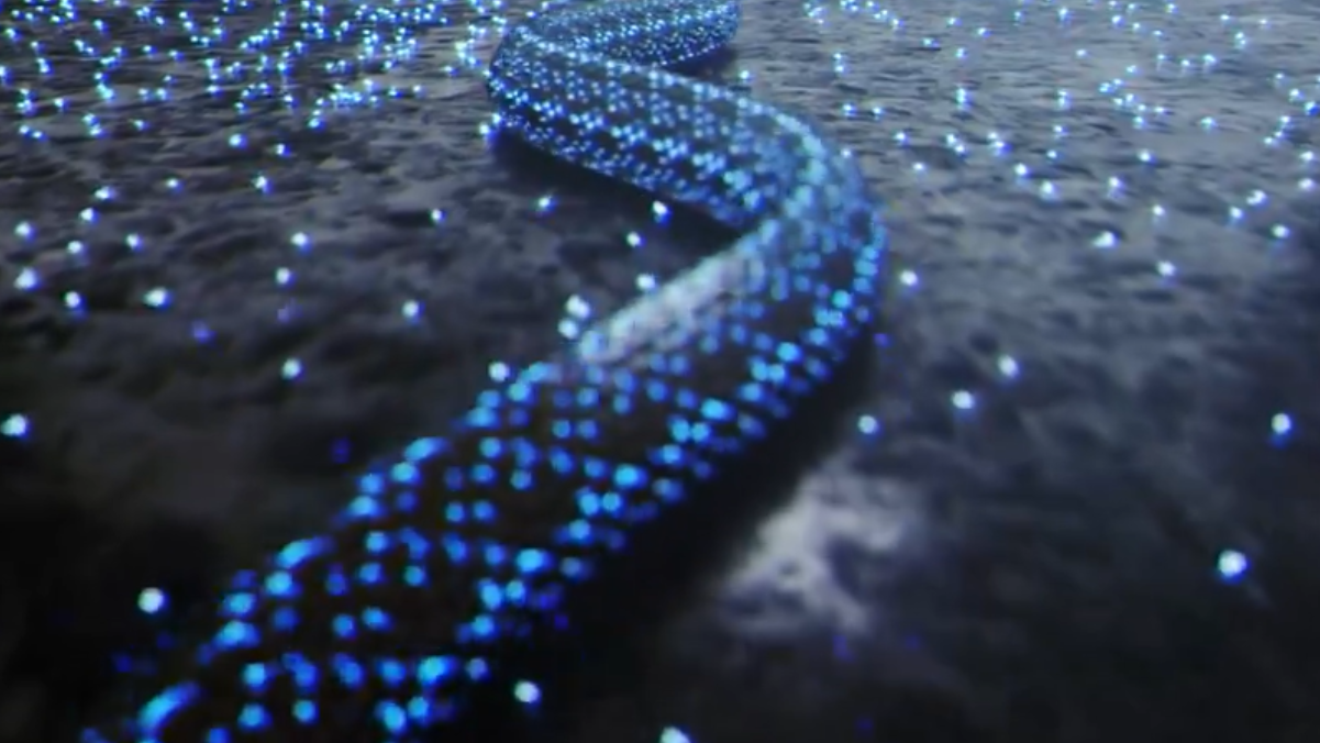 Verso Benfica-Inter, il morso letale dei nerazzurri -VIDEO 26 Benfica Inter