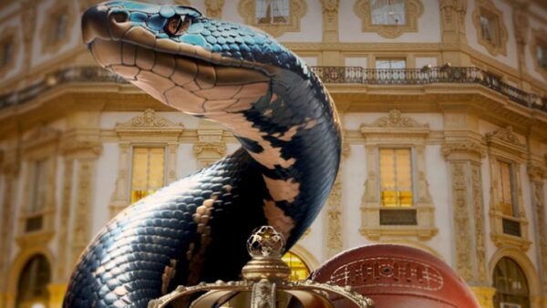 Inter Real Sociedad