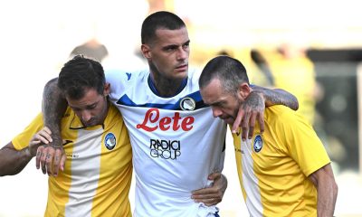 Scamacca