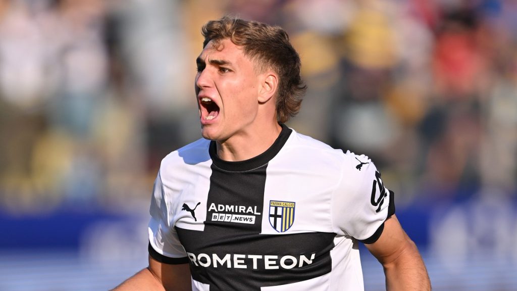 Mateo Pellegrino