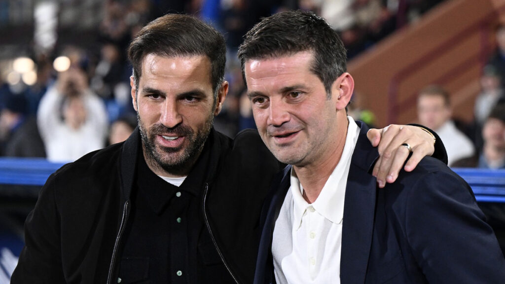 Fabregas Chivu