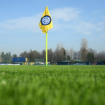 Settore giovanile dell'inter